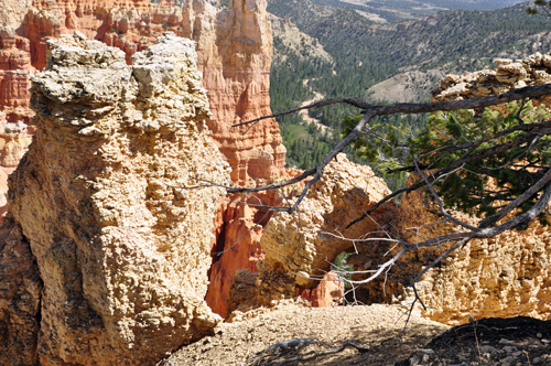 close-up hoodoo